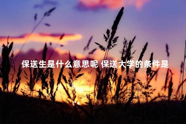 保送生是什么意思呢 保送大学的条件是什么